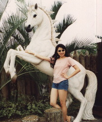 klhorse.jpg (24107 bytes)